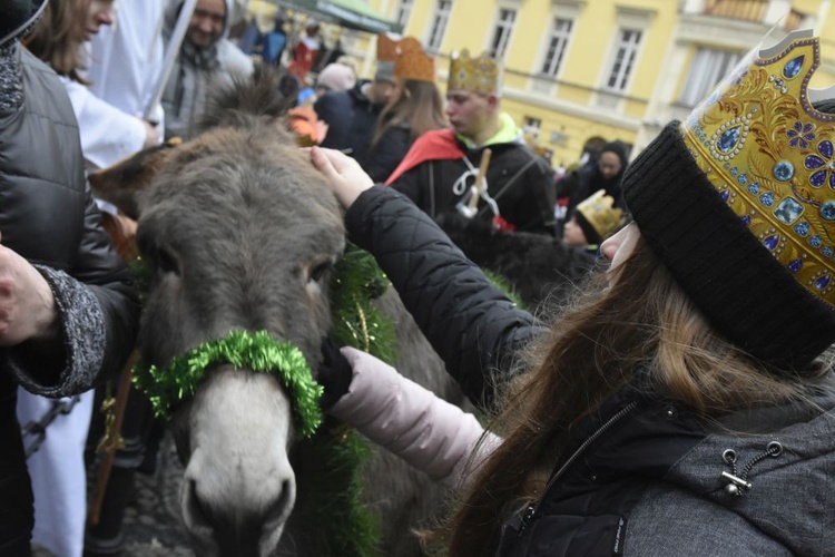 Świdnica. Tutaj znów były osiołki...