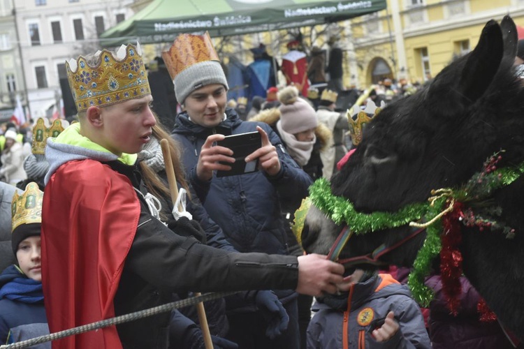 Świdnica. Tutaj znów były osiołki...