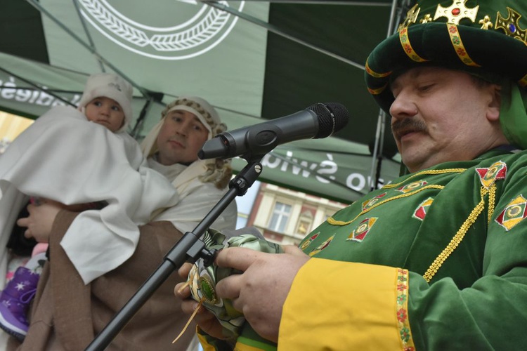 Świdnica. Tutaj znów były osiołki...