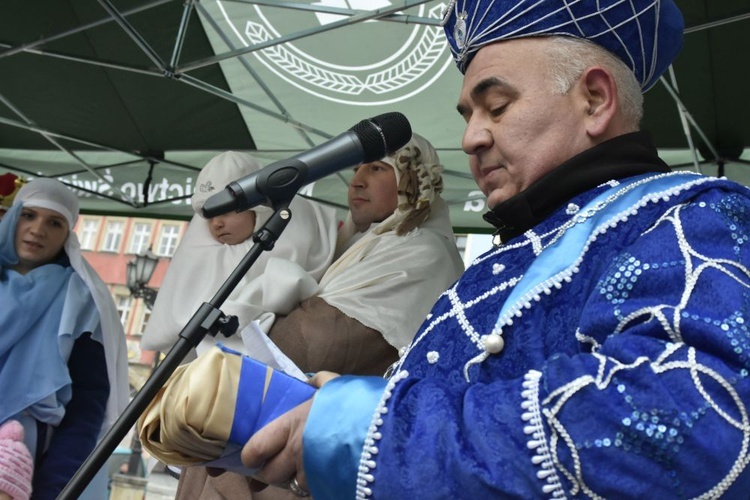 Świdnica. Tutaj znów były osiołki...