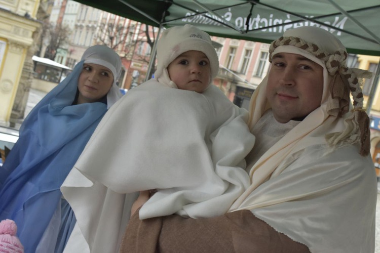 Świdnica. Tutaj znów były osiołki...