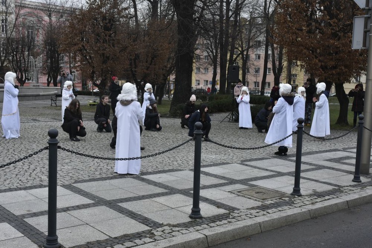 Świdnica. Tutaj znów były osiołki...