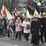 Świdnica. Tutaj znów były osiołki...