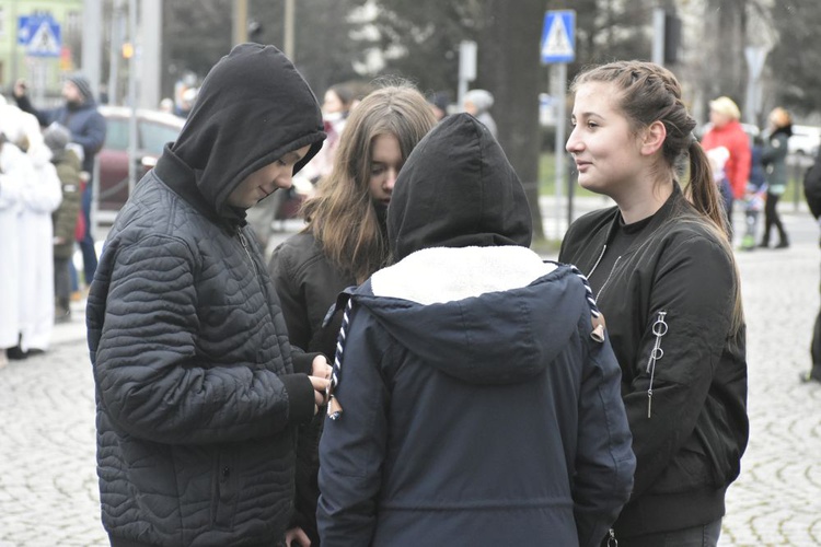 Świdnica. Tutaj znów były osiołki...