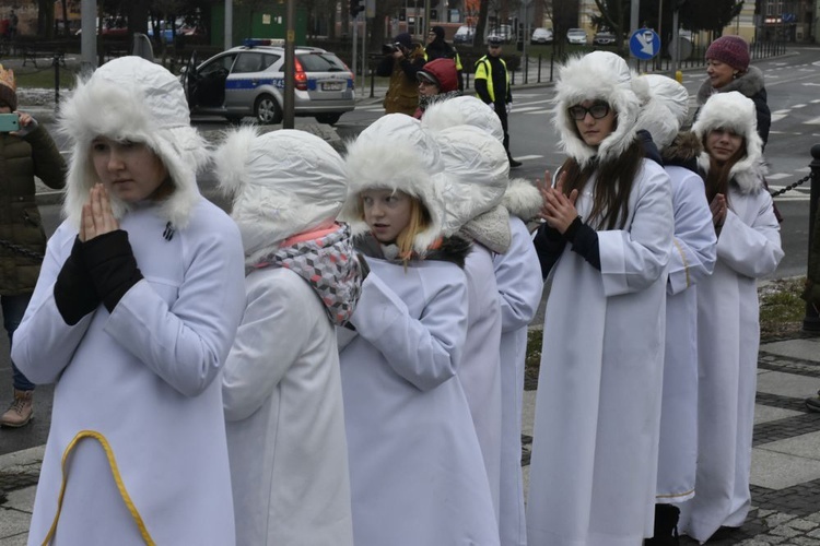 Świdnica. Tutaj znów były osiołki...