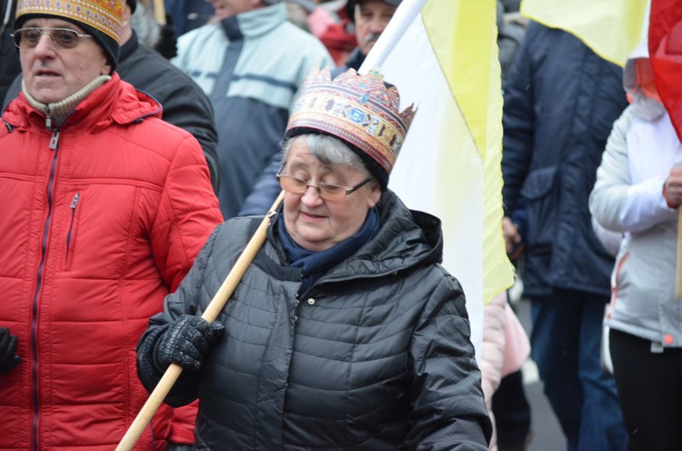 Świdnica. Tutaj znów były osiołki...