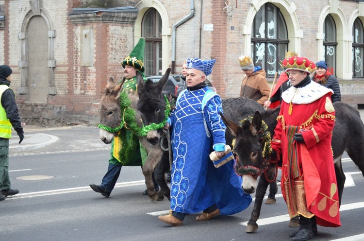 Świdnica. Tutaj znów były osiołki...