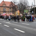 Świdnica. Tutaj znów były osiołki...