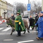 Świdnica. Tutaj znów były osiołki...