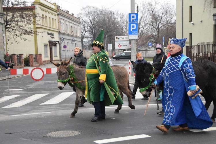 Świdnica. Tutaj znów były osiołki...