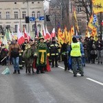 Świdnica. Tutaj znów były osiołki...