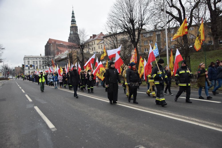 Świdnica. Tutaj znów były osiołki...