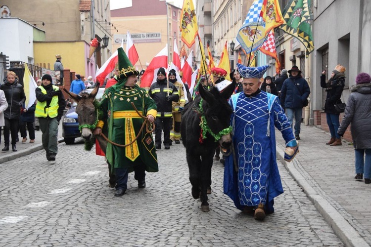 Świdnica. Tutaj znów były osiołki...