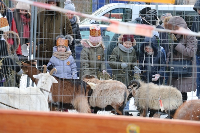 Orszak Trzech Króli w Radomiu