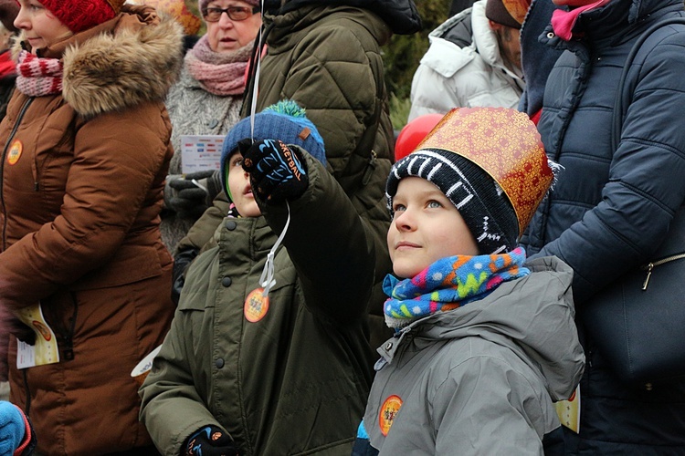 Orszak Trzech Króli 2019 - Mrozów