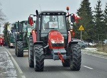 Czerwińsk n. Wisłą. Orszak Trzech Króli