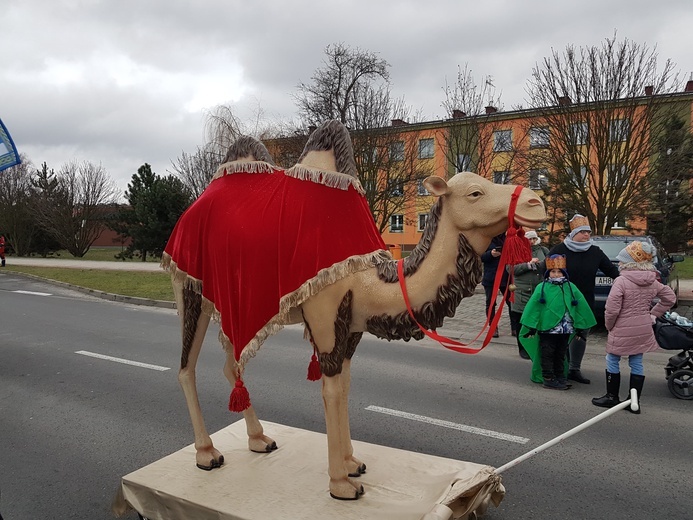 Orszak Trzech Króli 2019 - Brzeg Dolny