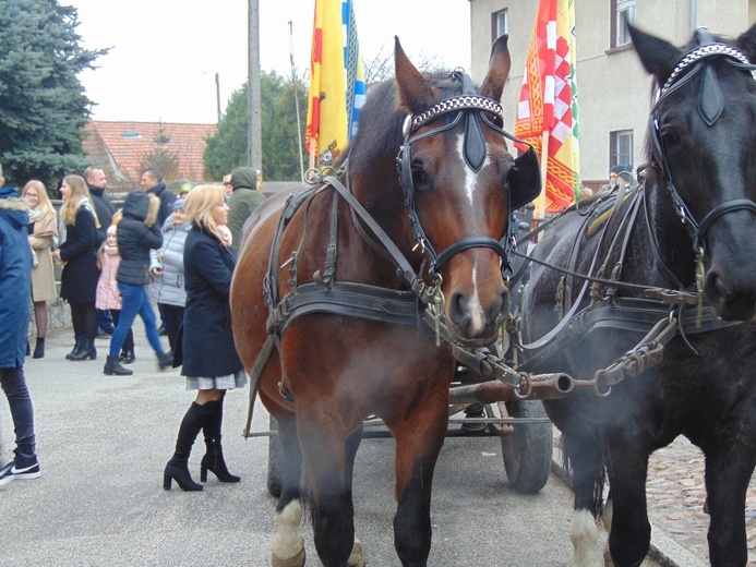 Orszak Trzech Króli 2019 - Wińsko