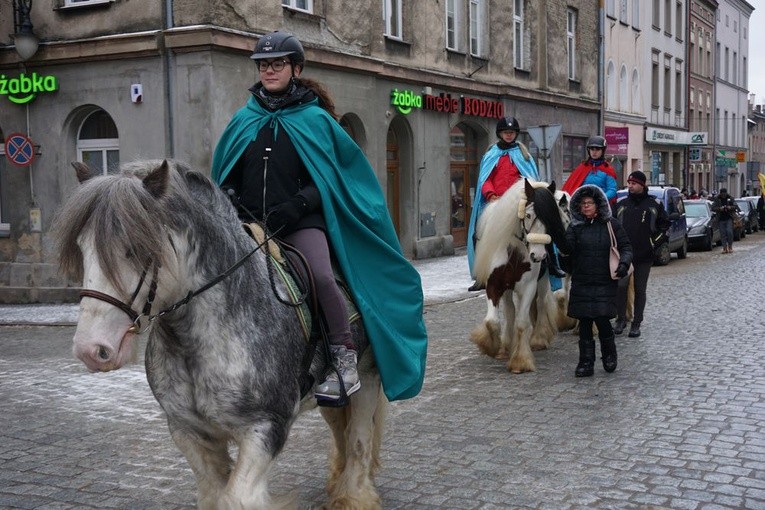 Ząbkowice Śląskie. Europa, Azja i Afryka - każda licznie reprezentowana i z własnym zawołaniem