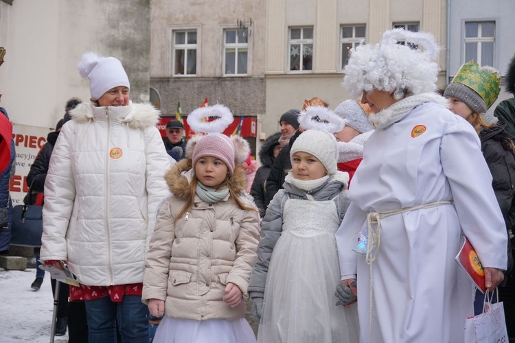 Ząbkowice Śląskie. Europa, Azja i Afryka - każda licznie reprezentowana i z własnym zawołaniem