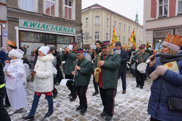 Ząbkowice Śląskie. Europa, Azja i Afryka - każda licznie reprezentowana i z własnym zawołaniem