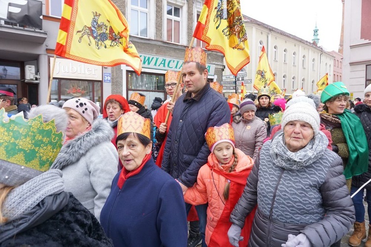 Ząbkowice Śląskie. Europa, Azja i Afryka - każda licznie reprezentowana i z własnym zawołaniem