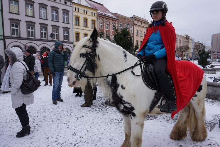 Ząbkowice Śląskie. Europa, Azja i Afryka - każda licznie reprezentowana i z własnym zawołaniem