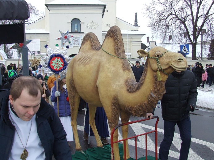 Orszak w Janowie Lubelskim 