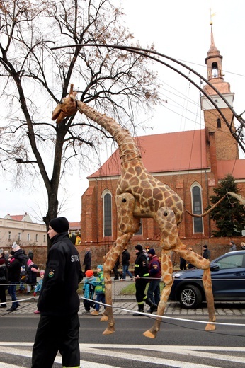 Orszak Trzech Króli 2019 - Wołów cz. 3