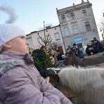 Golub-Dobrzyń. Orszak Trzech Króli