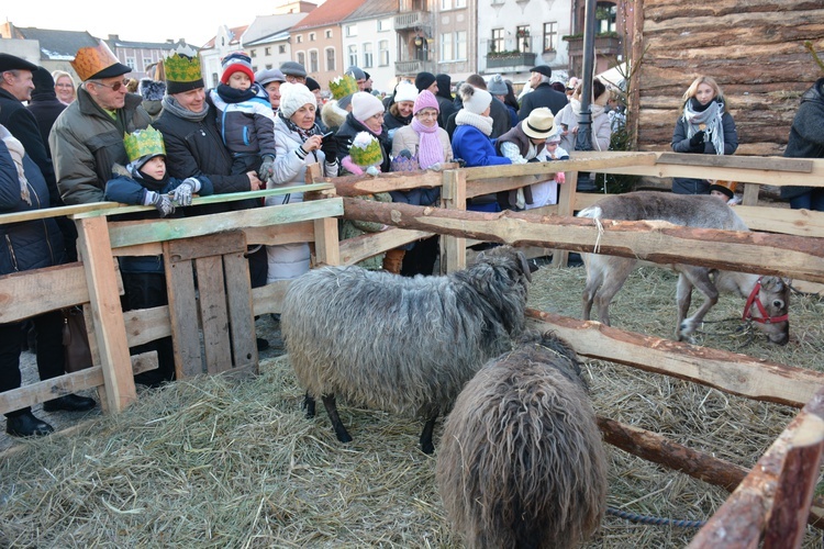 Golub-Dobrzyń. Orszak Trzech Króli