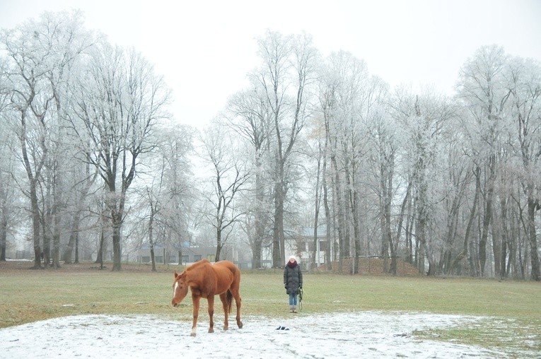 Ośrodek Szkolno-Wychowawczy w Kęble