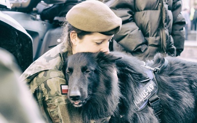 Psy zaczną "służbę" u terytorialsów
