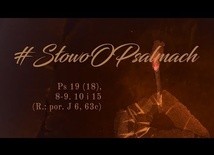 Panie, mój Zbawicielu