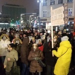 Protest w obronie dzików w Katowicach