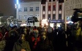 Protest w obronie dzików w Katowicach