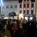 Protest w obronie dzików w Katowicach