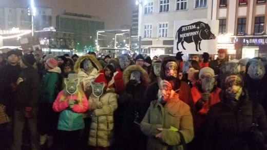 Protest w obronie dzików w Katowicach