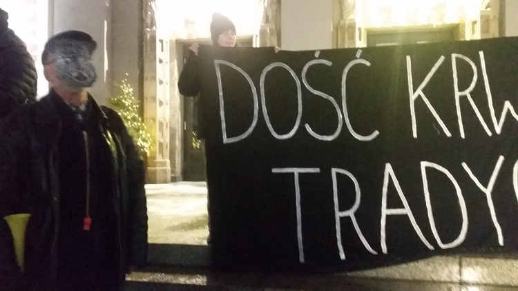 Protest w obronie dzików w Katowicach