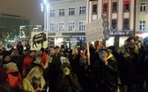 Protest w obronie dzików w Katowicach