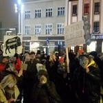 Protest w obronie dzików w Katowicach