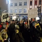 Protest w obronie dzików w Katowicach