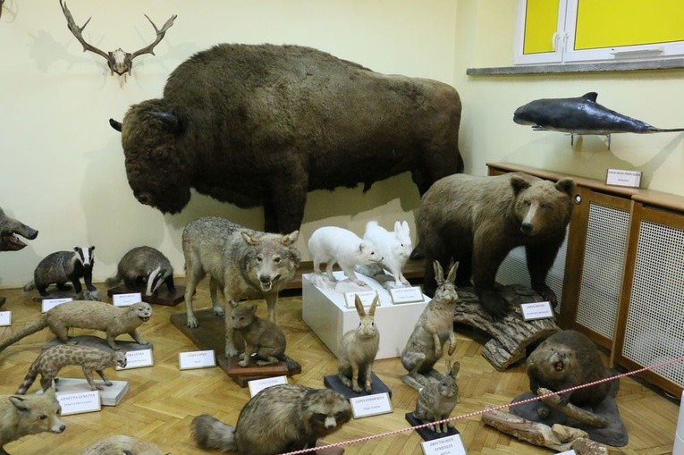 Noc Biologów