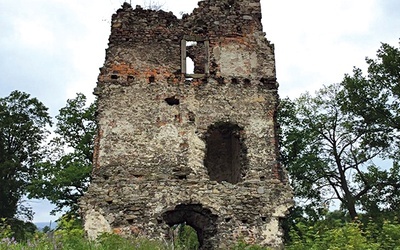 Zamek był częścią systemu obronnego południowo-zachodnich granic księstwa syna Jadwigi Śląskiej.