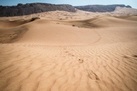 O wzrastaniu w dół