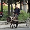 Nie tylko śladami Kapuścińskiego