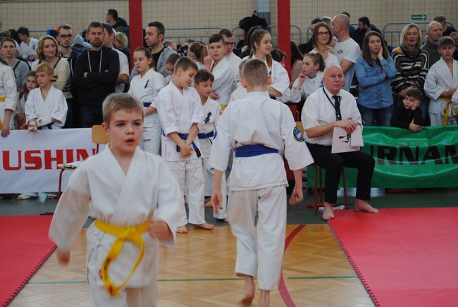 Karate w Rudniku nad Sanem