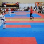 Karate w Rudniku nad Sanem