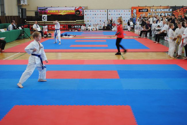 Karate w Rudniku nad Sanem