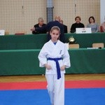 Karate w Rudniku nad Sanem